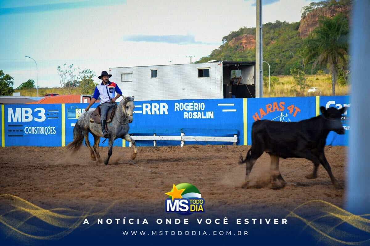Imagem da Galeria